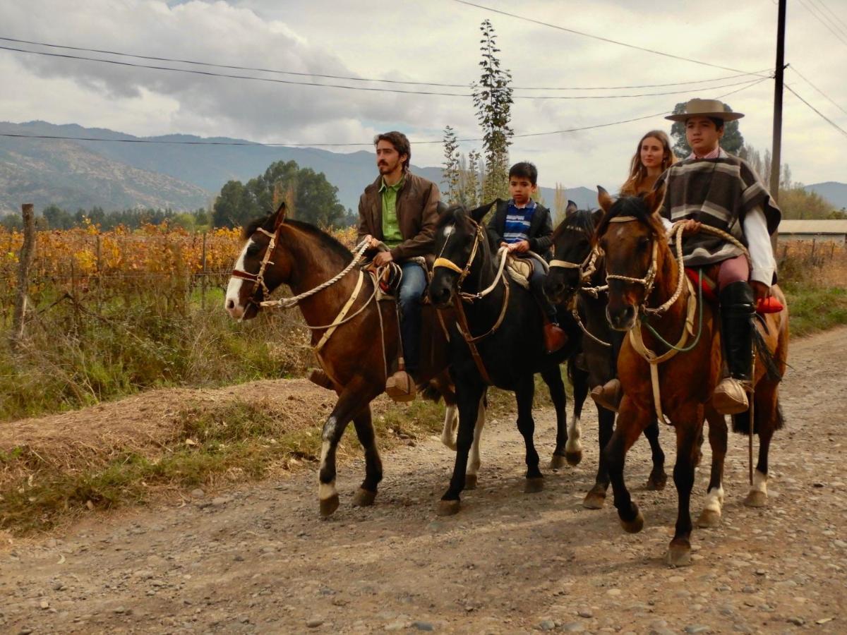 Hotel Boutique Raices De Colchagua Санта Крус Екстериор снимка